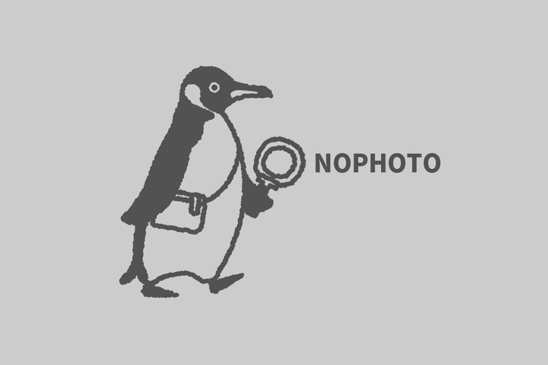 新鮮な海の幸を一度に楽しめる「ちらし寿司」＆名物の塩味「すいとん」