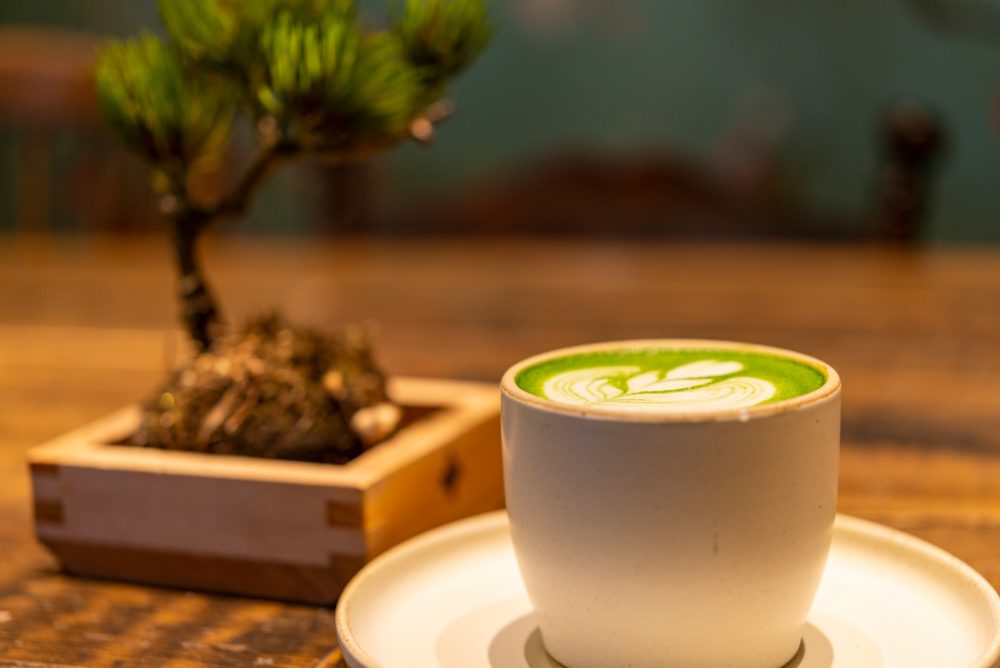 小さな盆栽とともに