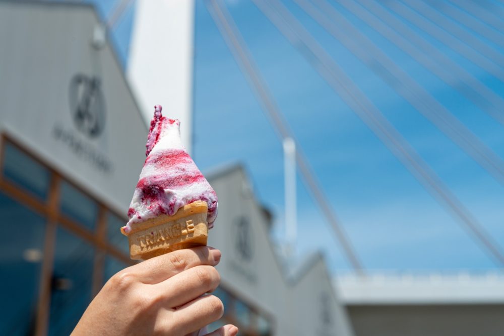 青森県産カシスを使ったジェラート