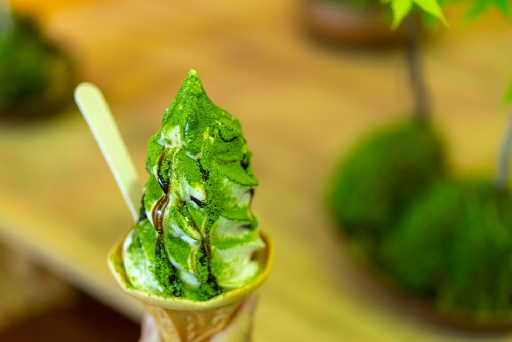 「奥入瀬渓流館」の苔ソフト