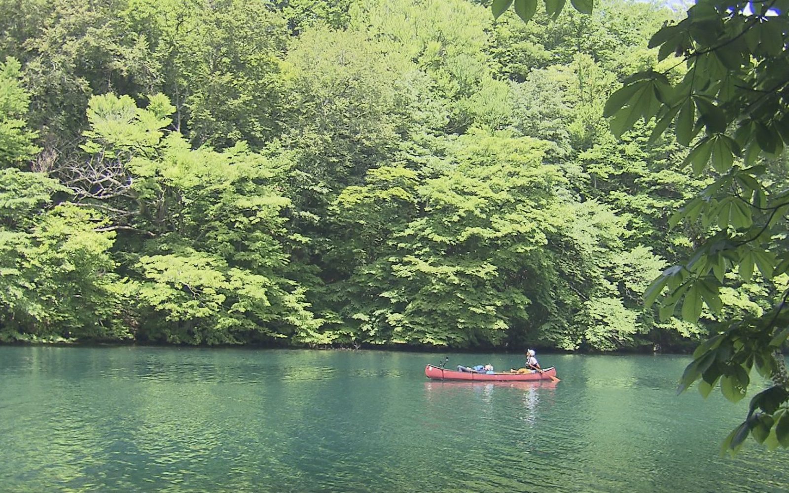 カヌーに乗って、神秘の湖・十和田湖を体感