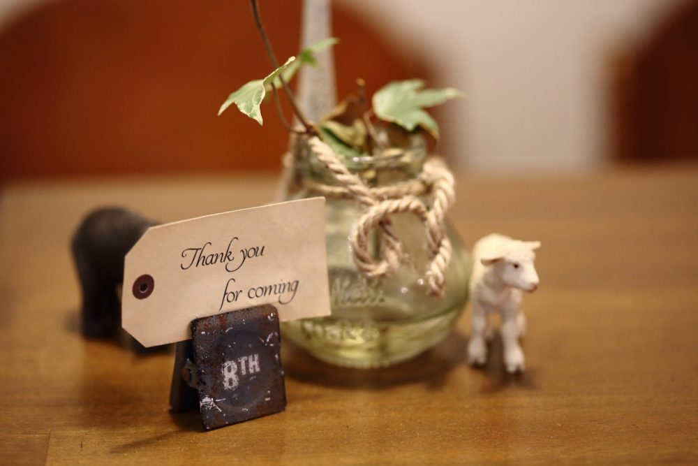 たまの休日の癒されタイムに