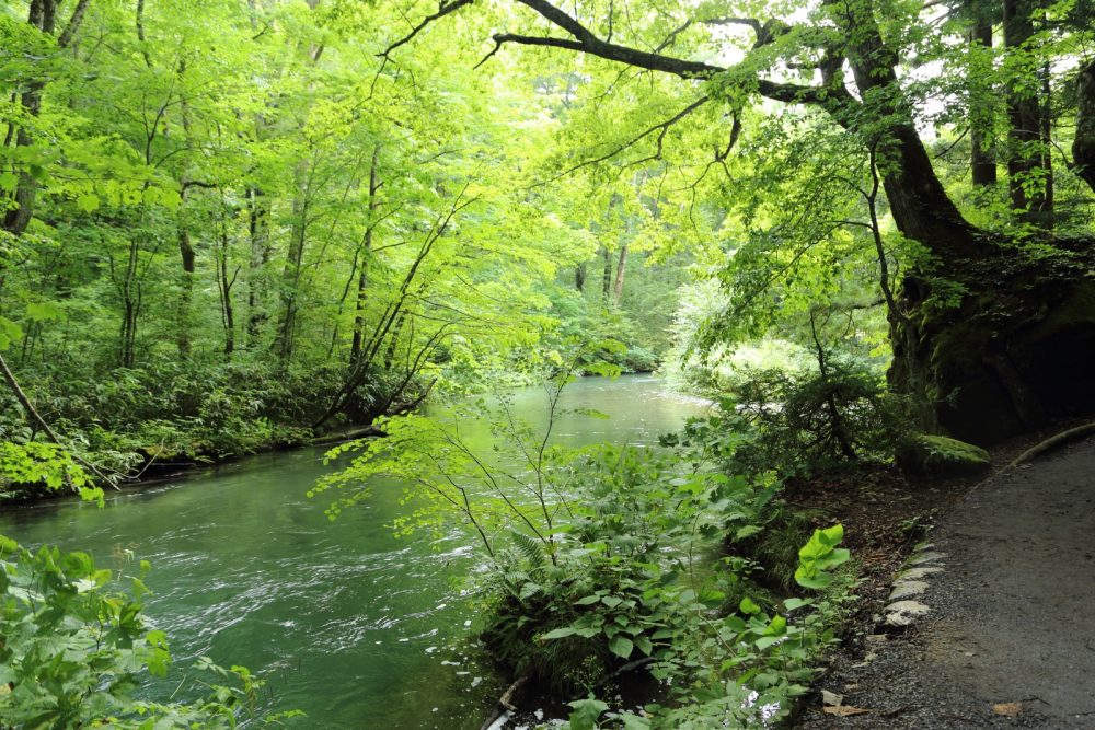 清流と緑ってどうしてか癒される