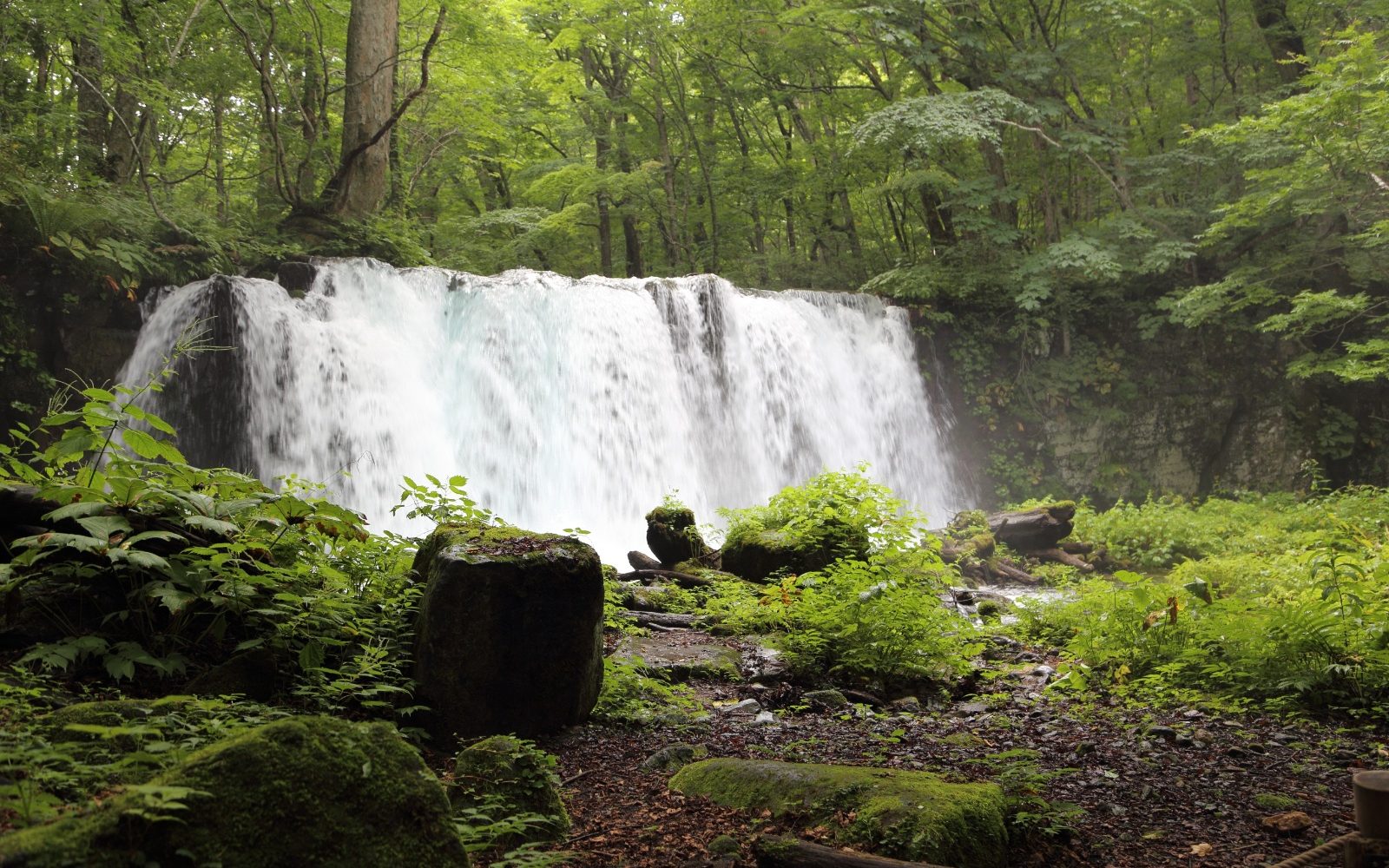 清流と緑織りなす自然美に癒されて
