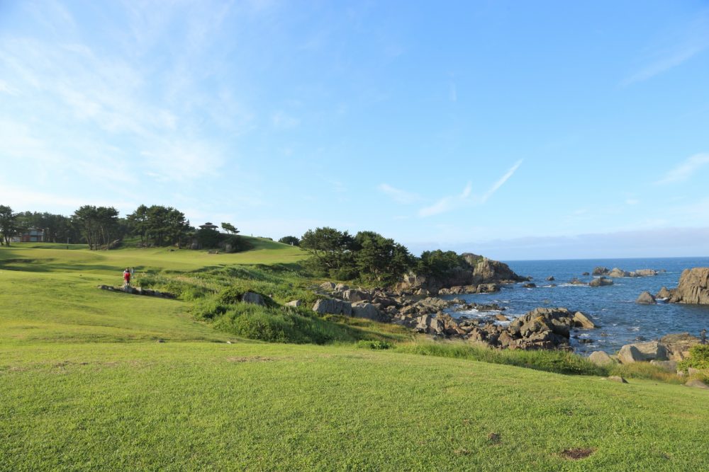 天然の芝生で海を眺めながらおもいおもいの時間を