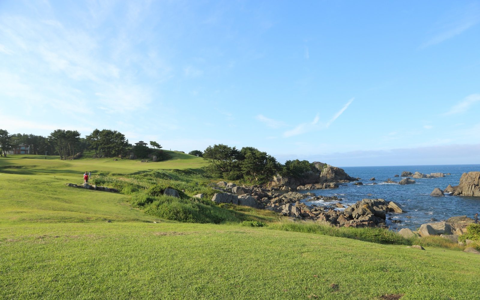 天然の芝生で海を眺めながらおもいおもいの時間を