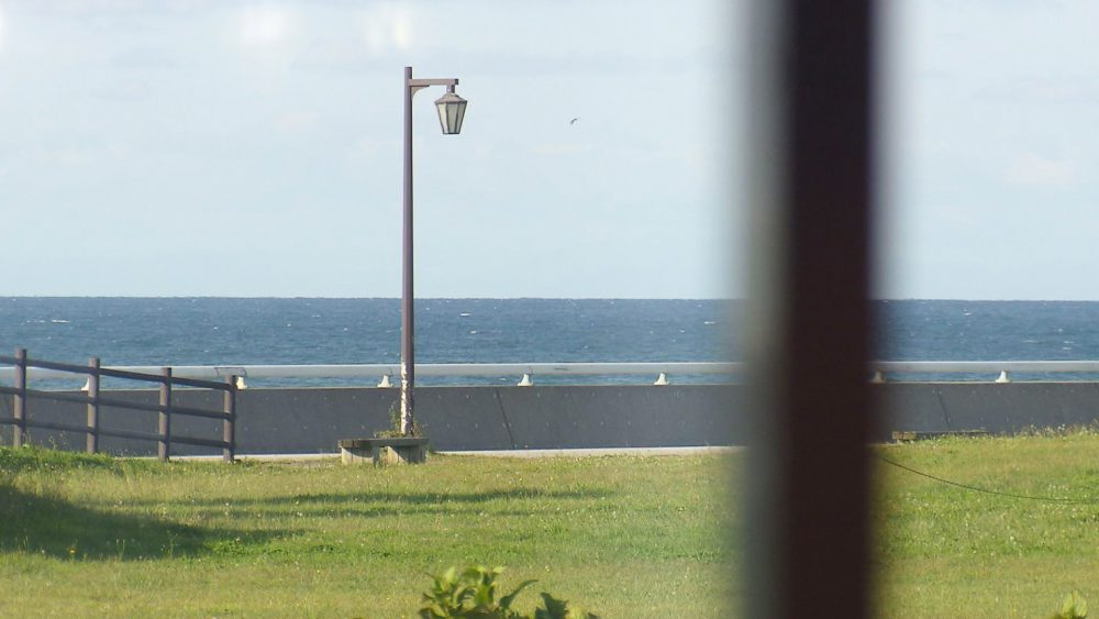 絶品料理とともに景色も味わえる