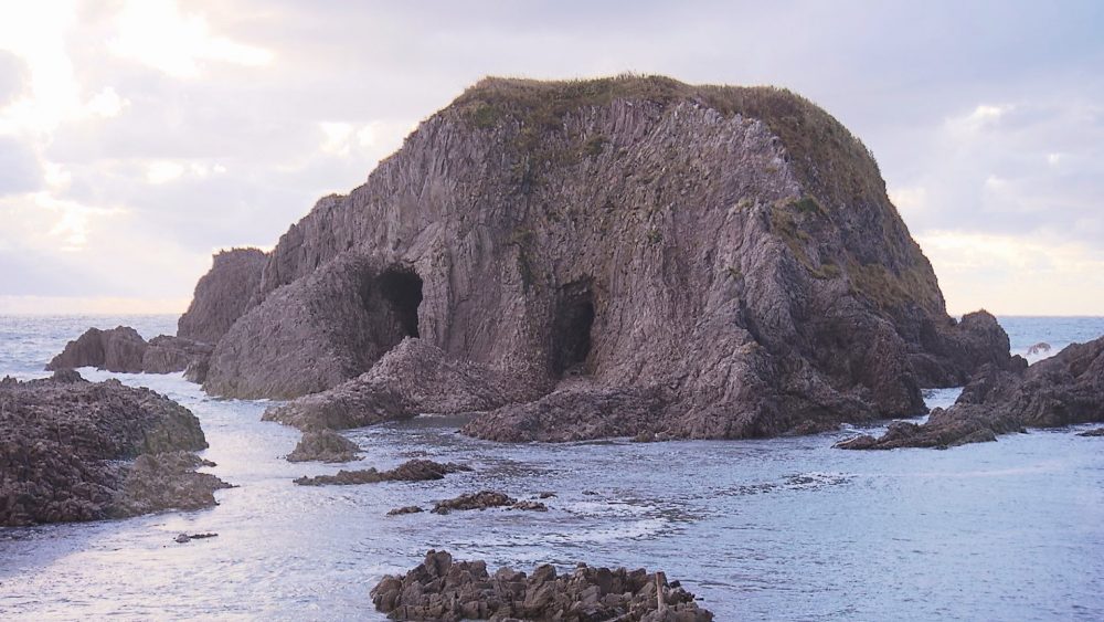 象の顔に似ていることから