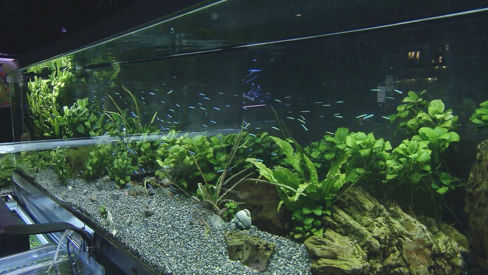 ゆったりと眺めて