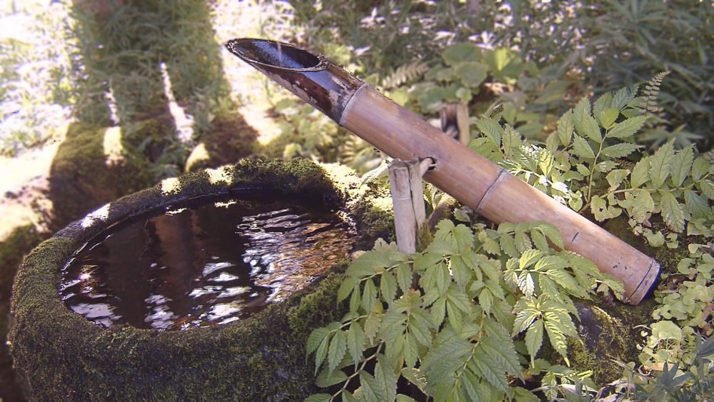 お腹も心も満たされて