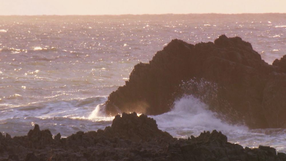 時間で変わる表情