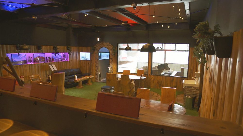 ピクニック気分になる店内