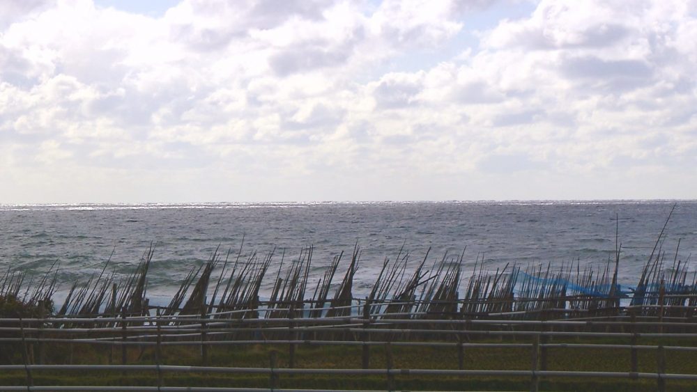 日本海を眺めながら