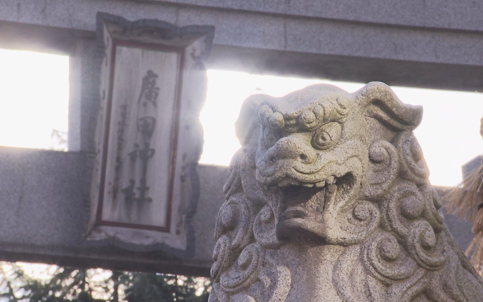 ご当地の御朱印や可愛らしいおみくじも!病厄除守護の由緒ある神社