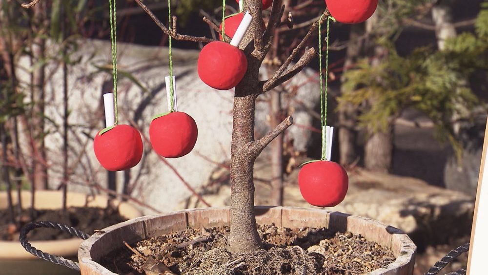 りんごおみくじ