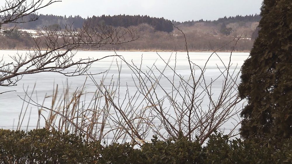 田面木沼を眺めながら