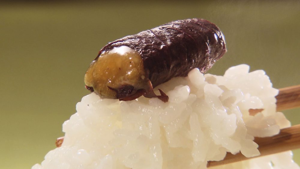 甘辛でごはんがすすむ