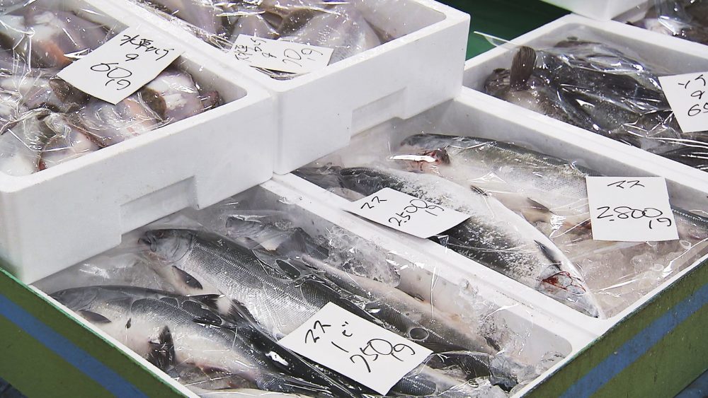 新鮮な海の幸を!