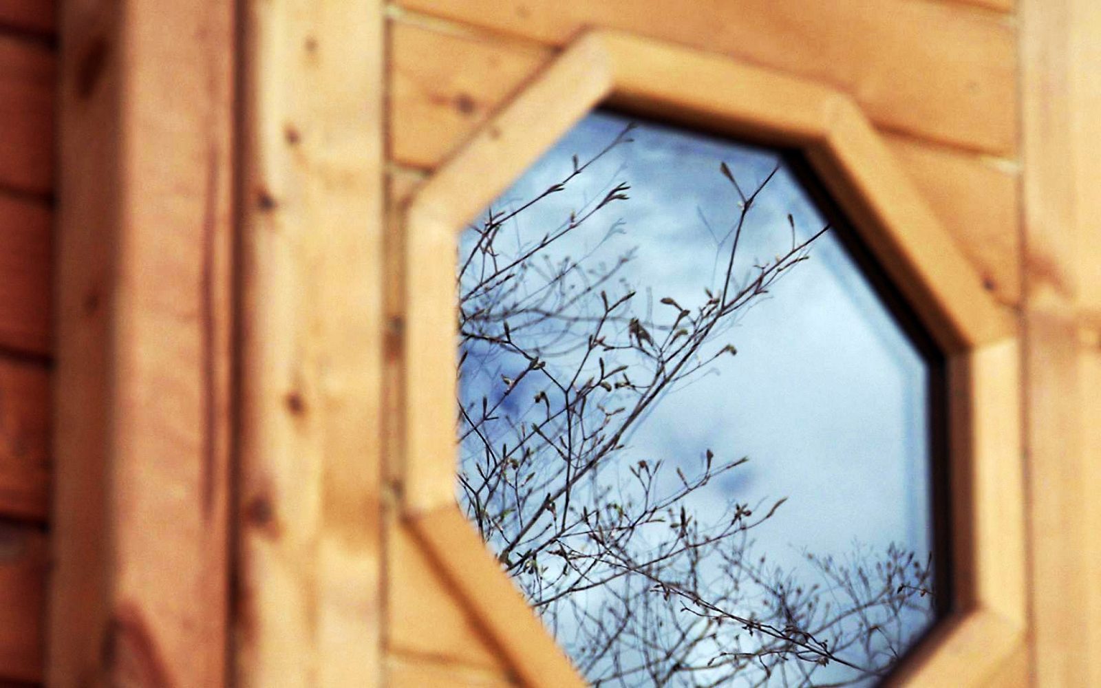 大自然を感じながら心も身体も”ととのう”サウナ体験