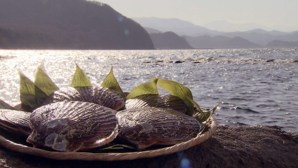 ミネラル豊富な帆立が