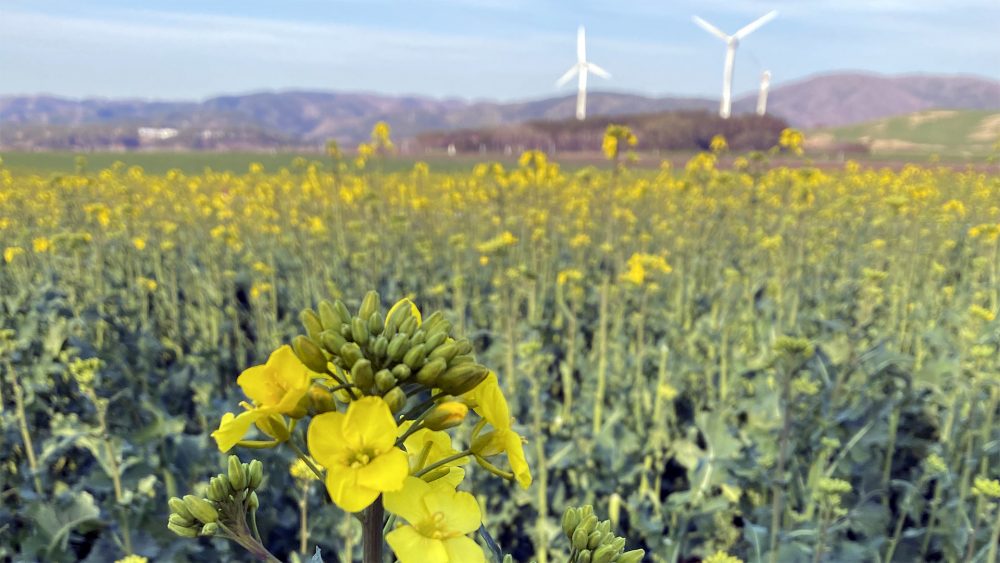 素材を吟味した絶品料理を