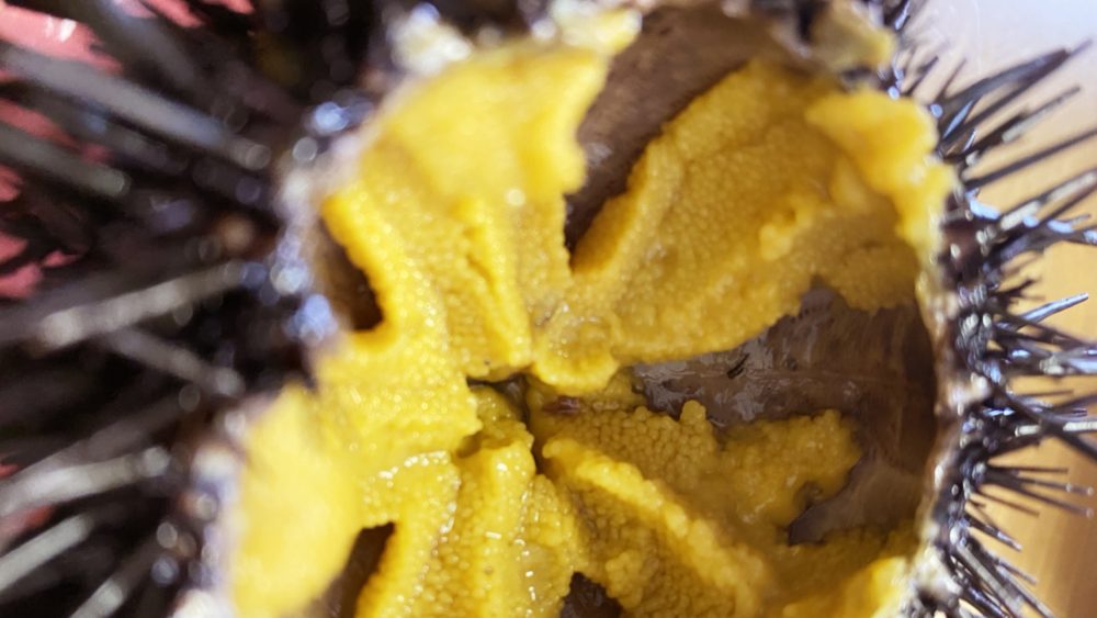 うになどの海鮮も