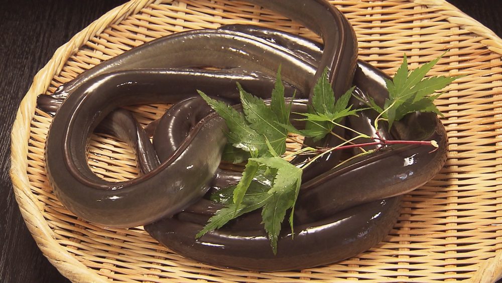 愛知県産うなぎ使用