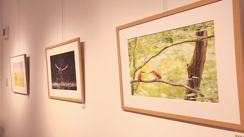 ギャラリーも併設