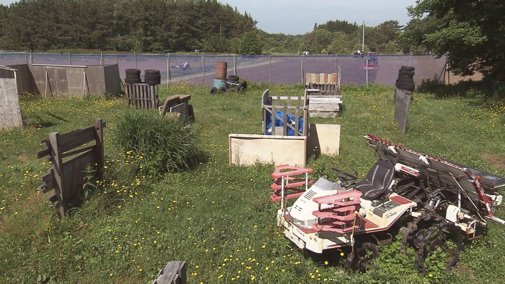 体力と頭脳を駆使して