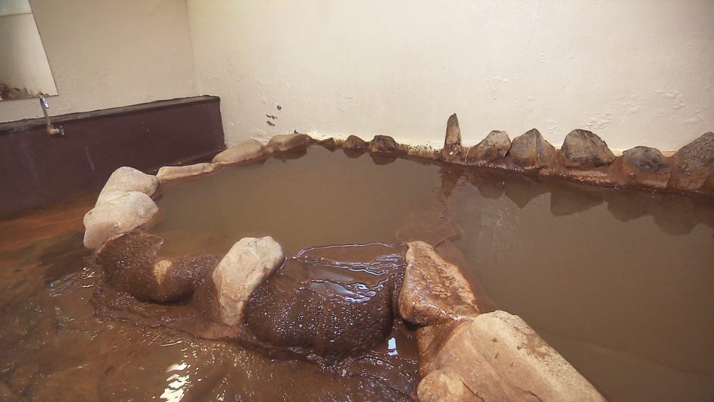 日帰り入浴もOK