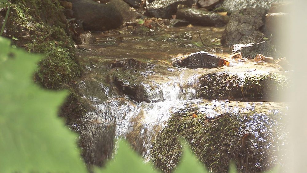 パワーをもらえる場所