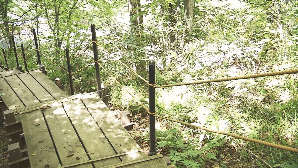 ゆっくりと流れる時間の中で