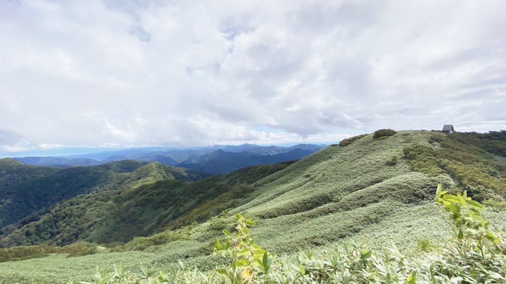 ブナ林で深呼吸！世界遺産・白神山地を体験