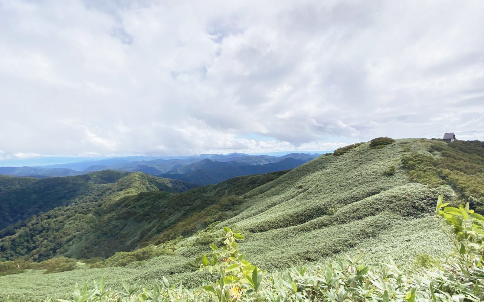 ブナ林で深呼吸！世界遺産・白神山地を体験