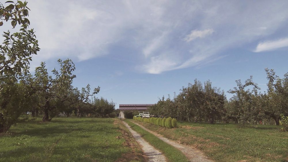 十和田市米田にある大竹農園