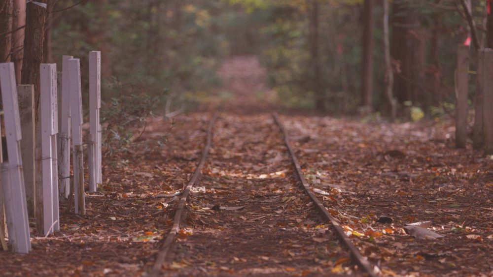 実験林森林鉄道跡