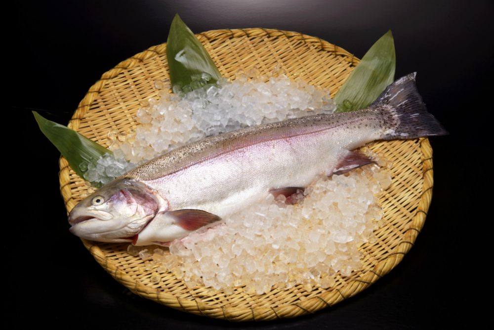 青い森紅サーモン