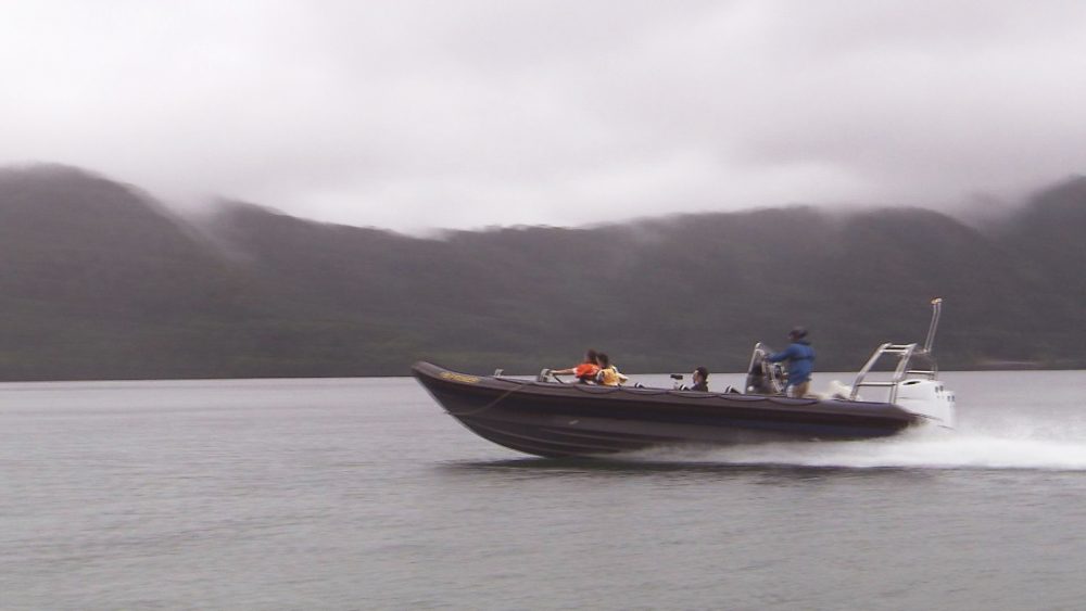 リブボートで十和田湖の自然を満喫！