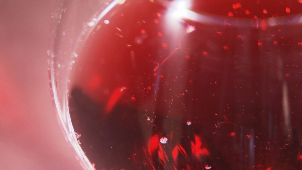 シェフが作ったワインと一緒に