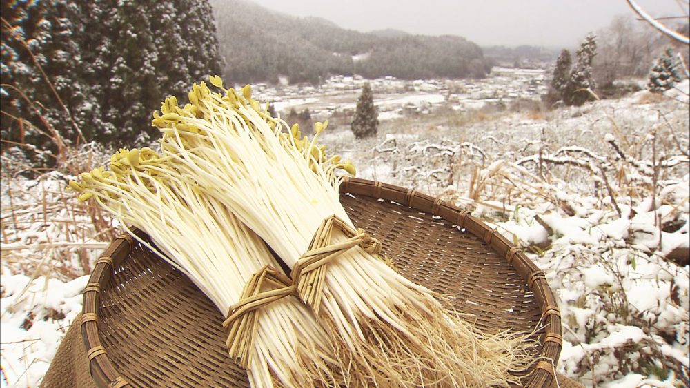 冬の伝統野菜「大鰐温泉もやし」使用
