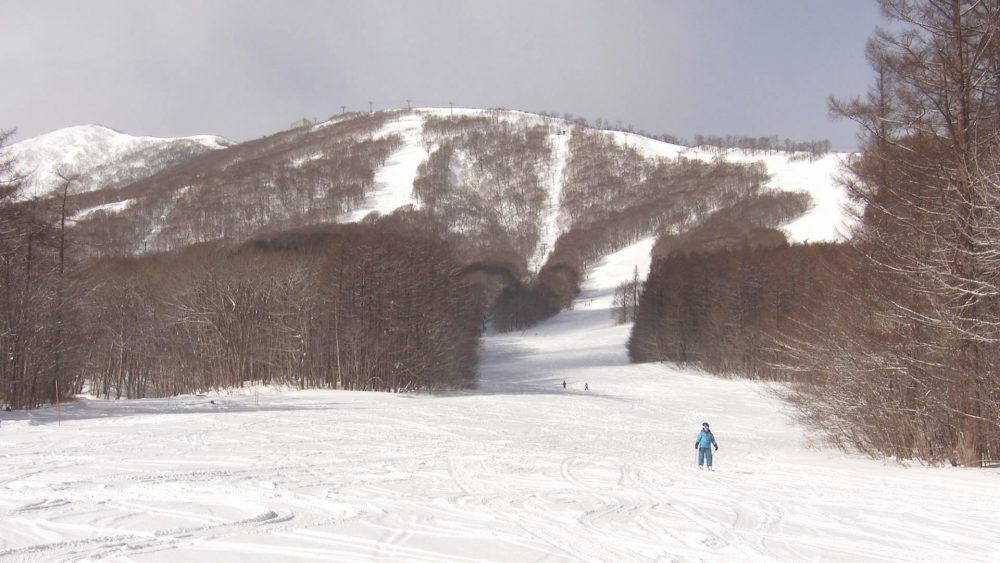 冬を満喫！スキー＆温泉＆グルメ