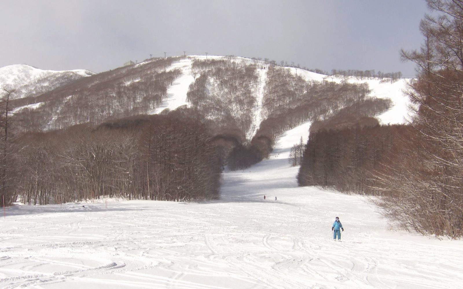 冬を満喫！スキー＆温泉＆グルメ