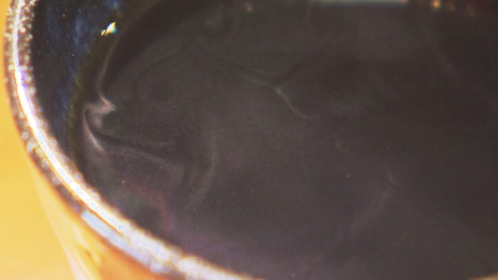 やきそばとの相性も◎