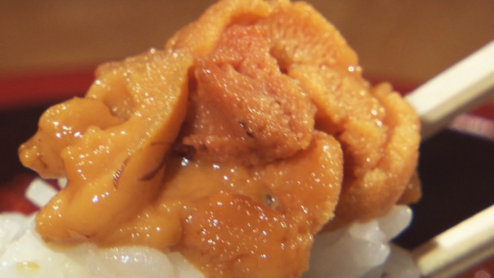 北海道産のバフンウニ