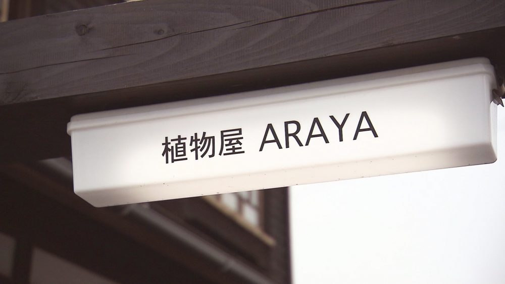 緑に癒されて♪
