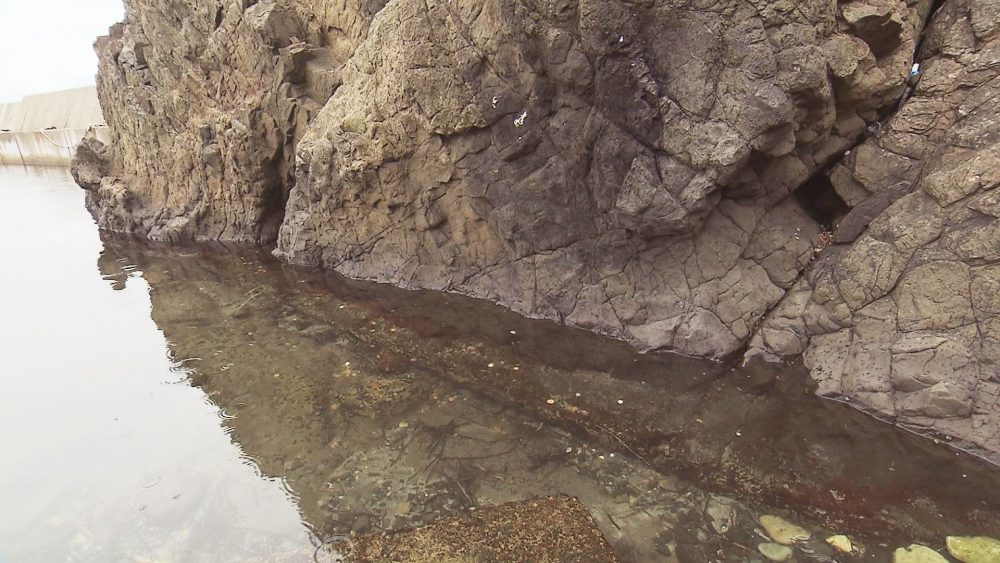 竜飛漁港のはずれに