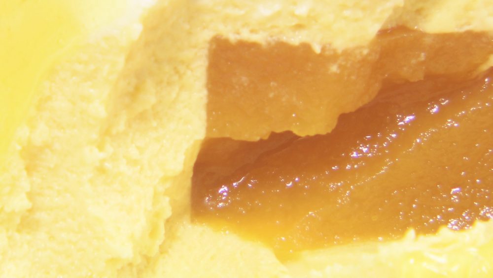 マンゴーのジュレが