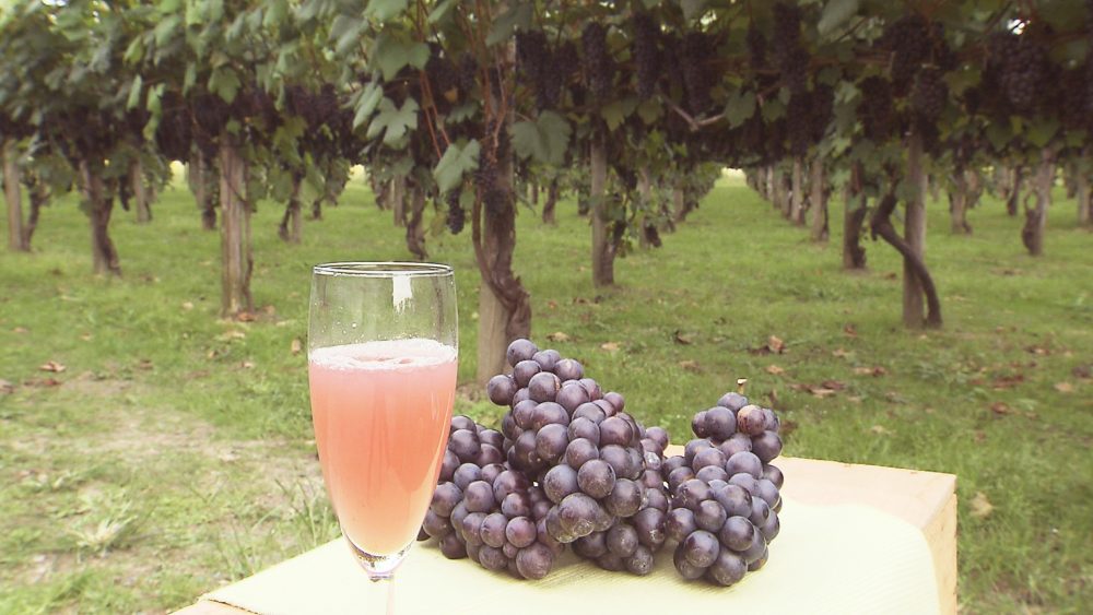 生絞りジュースにしても絶品