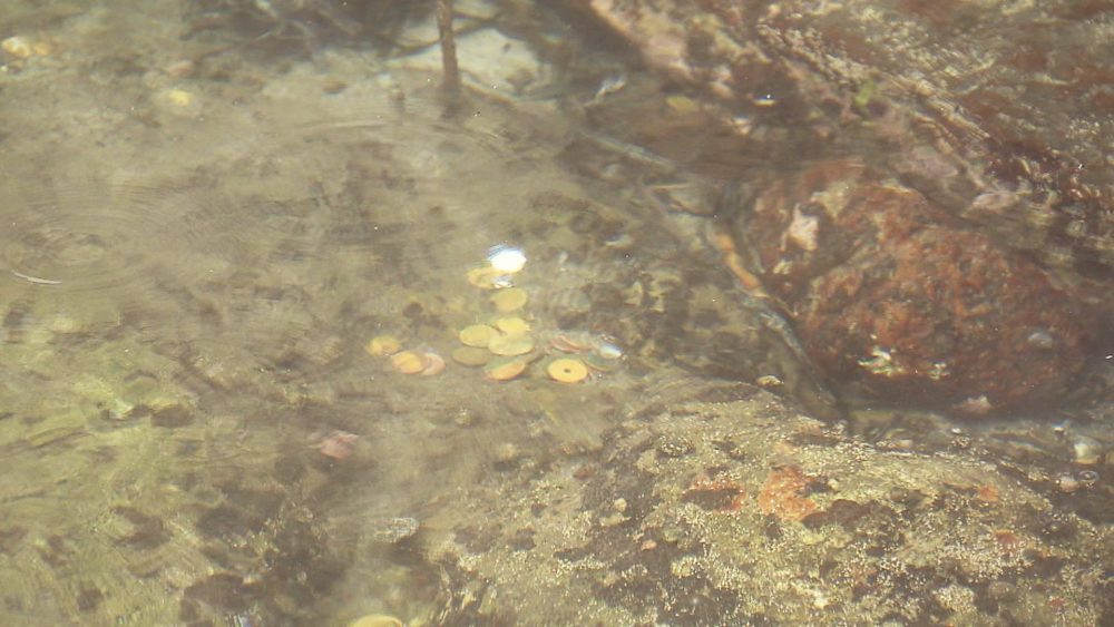 地元漁師が愛するパワースポット