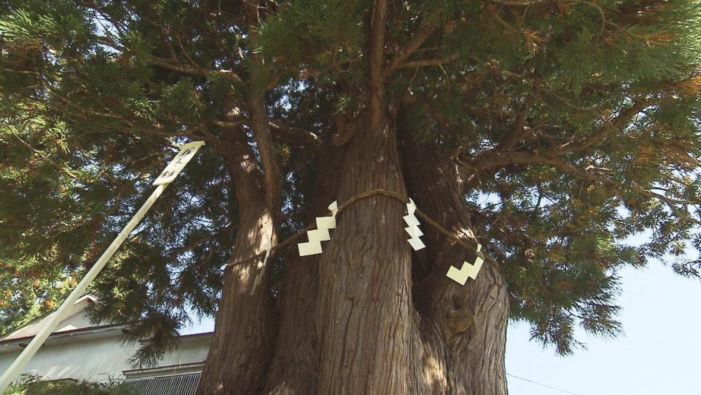 パワーを感じて